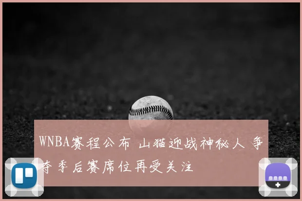 WNBA赛程公布 山猫迎战神秘人 争夺季后赛席位再受关注