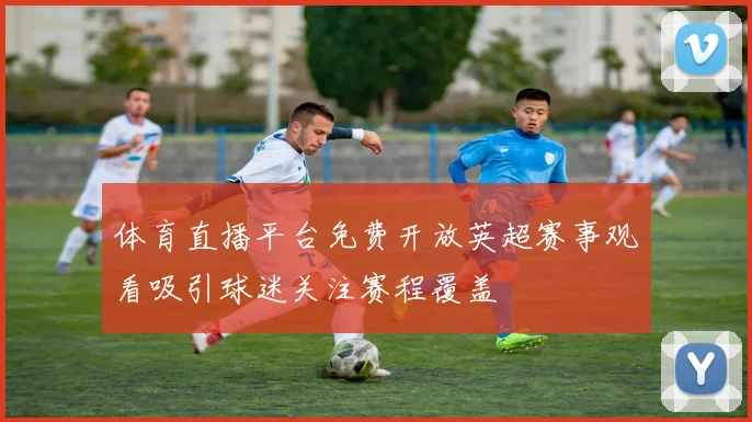 体育直播平台免费开放英超赛事观看吸引球迷关注赛程覆盖